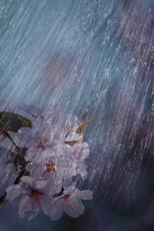 心象創作写真協会